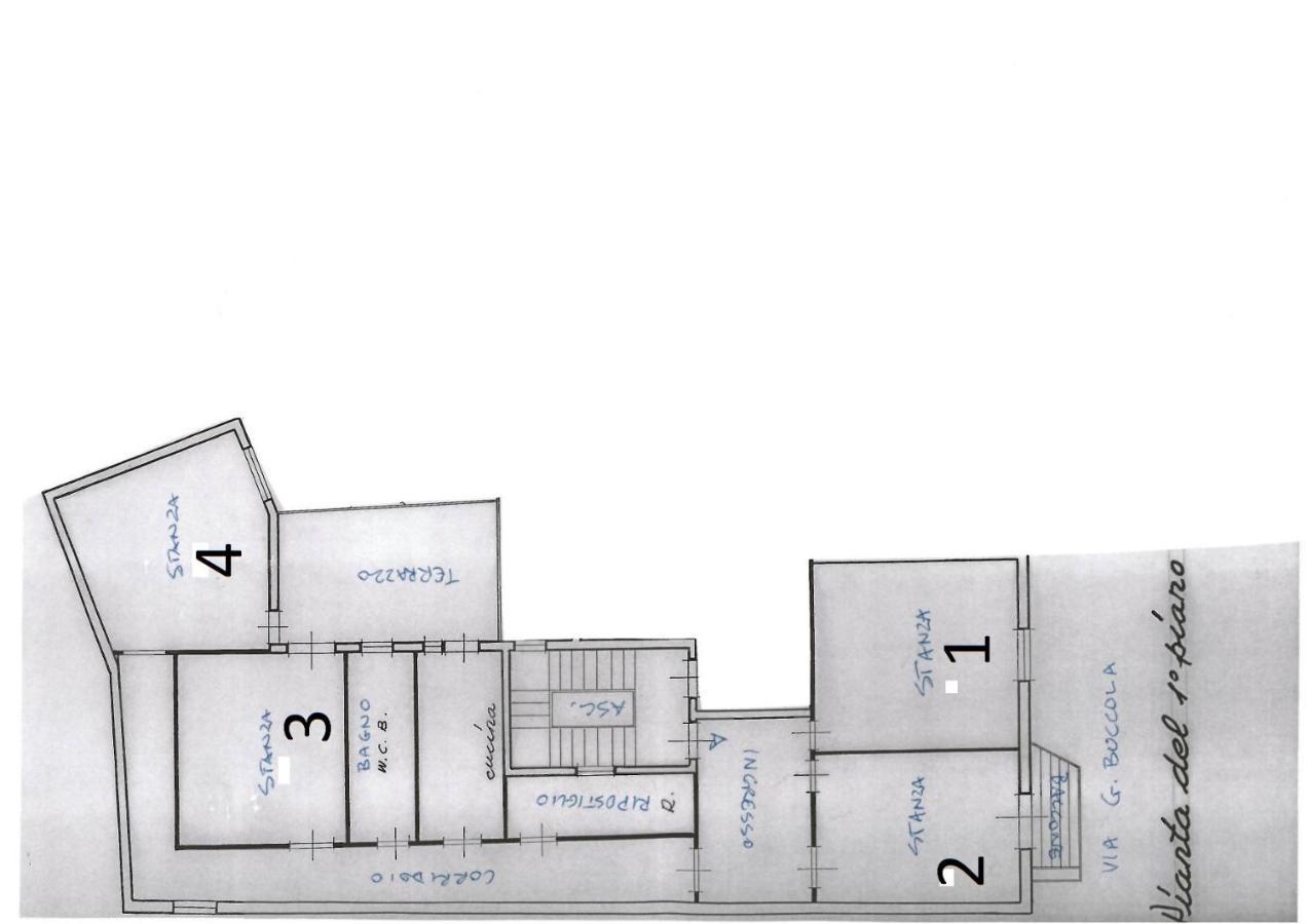 Stanza Privata In Appartamento Per Smart Working, Digital Nomads O Coliving Palermo Exteriör bild